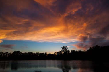Ağaçların arkasında güneş ayarı ve renk mavi gökyüzünde incecik bulutlar ve gölgeli bir su birikintisi yansıtan.
