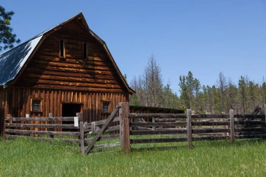 Bir çit içinde ağıl ve uzun boylu yeşil çimenlerin üzerinde Güney Dakota Black Hills alanda bir terkedilmiş homestead manzara ile eski bir ahşap ahır.
