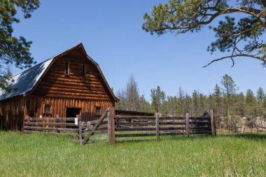 Bir çit içinde ağıl ve uzun boylu yeşil çimenlerin üzerinde Güney Dakota Black Hills alanda bir terkedilmiş homestead manzara ile eski bir ahşap ahır.