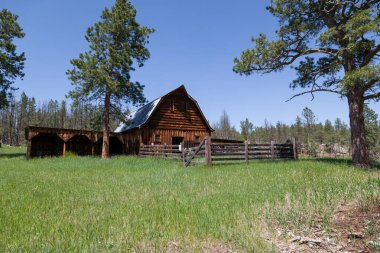 Bir çit içinde ağıl ve uzun boylu yeşil çimenlerin üzerinde Güney Dakota Black Hills alanda bir terkedilmiş homestead manzara ile eski bir ahşap ahır.