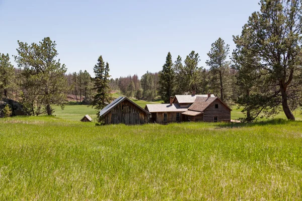 Övergiven Gammal Western Homestead Syn Ligger Grön Äng Utkanten Tallskog — Stockfoto