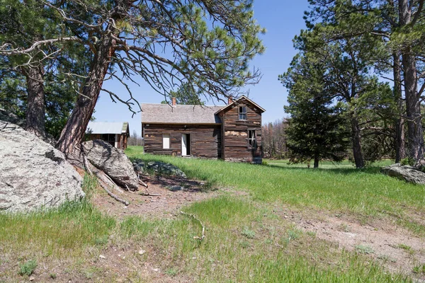 Abandoned Old Western Homestead Sight Located Green Meadow Edge Pine — Stock Photo, Image