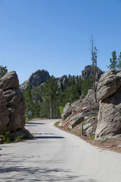 Del Needles Highway Omgiven Stort Vaggar Funktioner Och Pinjeträd Custer — Stockfoto