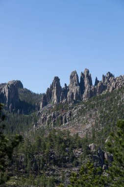 Kuleler arasında bir orman Custer State Park, Güney Dakota'uzun boylu kuvars Rock ortaya çıkarmak için bir dağ aşınmış.