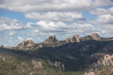 Custer State Park'ta Kayalık Manzara