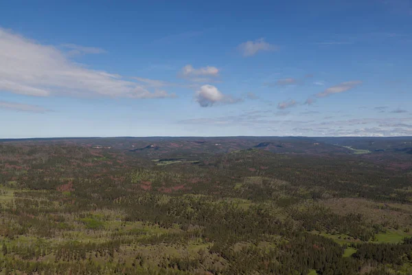 Aerial View of Pine Beetle Infestation — Stock Photo, Image