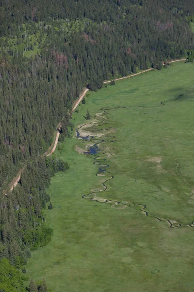 Crazy Winding Creek — Stock Photo, Image