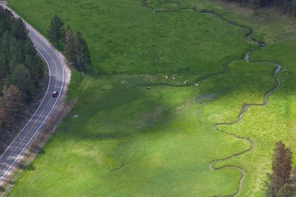 Vista aérea del ganado Longhorn — Foto de Stock