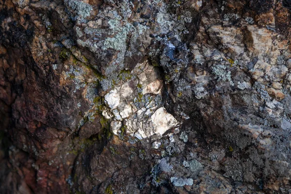 Mica Flakes in a Rock — Stock Photo, Image