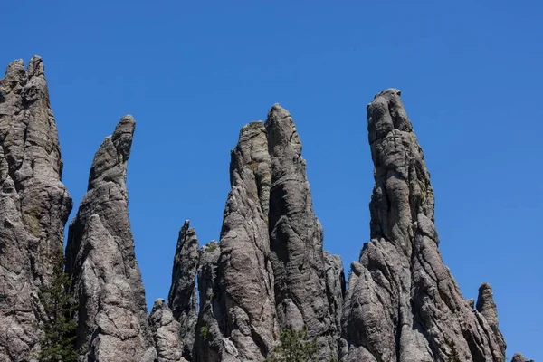 Catedral Spires y Limber Pine Área Natural — Foto de Stock