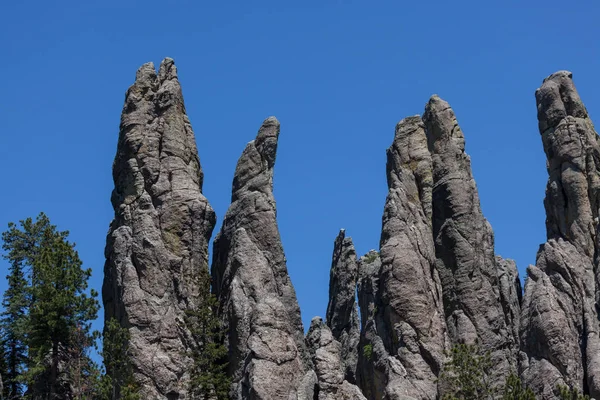 Cathedral Spires och limber Pine Natural Area — Stockfoto