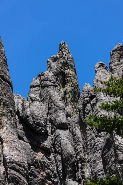 Cathedral Spires och limber Pine Natural Area — Stockfoto