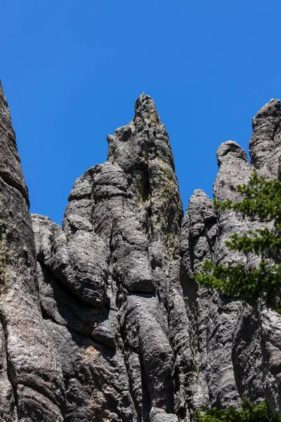 Domtürme und Latschenkiefer-Naturgebiet — Stockfoto