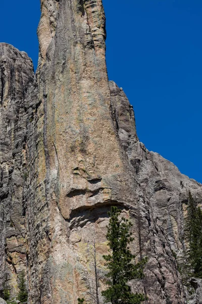 Cathedral Spires och limber Pine Natural Area — Stockfoto