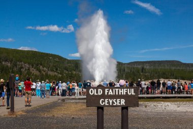 Yellowstone National Park, Wyoming / USA - July 22, 2014:  A large group of tourists stand around and watch the large geyser of Old Faithful to erupt at Yellowstone National Park in Wyoming. clipart