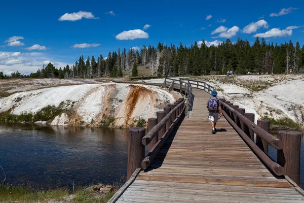 Park Narodowy Yellowstone Wyoming Usa Lipca 2014 Człowiek Przemierzający Drewniany — Zdjęcie stockowe