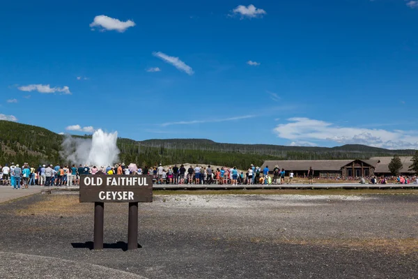 Parcul Național Yellowstone Wyoming Sua Iulie 2014 Grup Mare Turiști — Fotografie, imagine de stoc