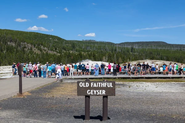 Yellowstone National Park Wyoming Usa Juli 2014 Een Grote Groep — Stockfoto