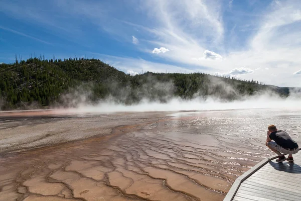 Parque Nacional Yellowstone Wyoming Usa Julio 2014 Joven Agacha Para — Foto de Stock