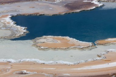 Eşsiz bakteri ve mineral oluşumlarıyla, Wyoming 'deki Yellowstone Ulusal Parkı' nın açık mavi termal suları hassas bir kenar oluşturuyor..
