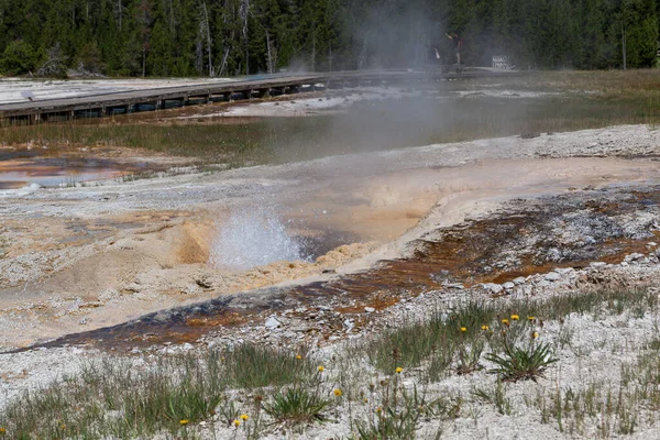 Respiradero Termal Suelo Parque Nacional Yellowstone Que Está Salpicando Agua — Foto de Stock