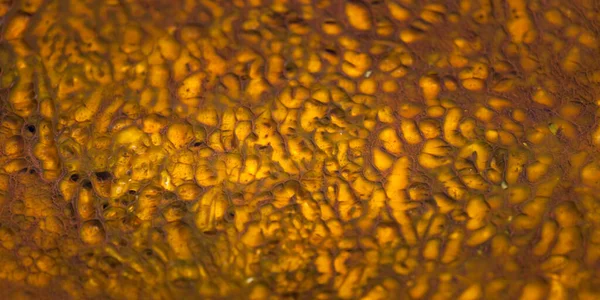 Background Bright Yellow Bacteria Growing Honeycomb Formation Shallow Layer Thermal — Stock Photo, Image