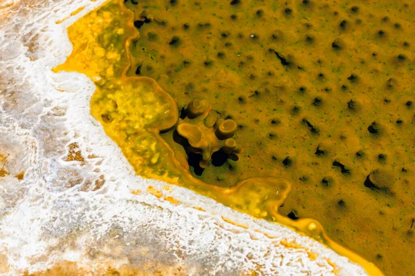 Unique Formation Yellow White Bacterial Growth Floating Shallow Thermal Water — Stock Photo, Image