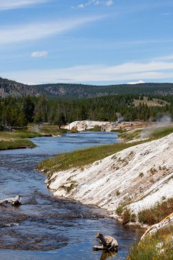 Ateş Deliği Nehri kaynayan gayzerleri geçerek Yellowstone Ulusal Parkı, Wyoming 'deki ağaçların ve dağların olduğu bir bölgeye akar..