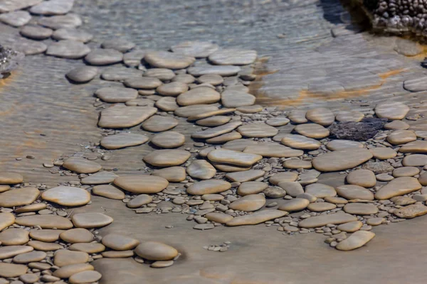 Smooth Flat River Rocks Shallow Thermal Waters Aurum Geyser Yellowstone — Stock Photo, Image