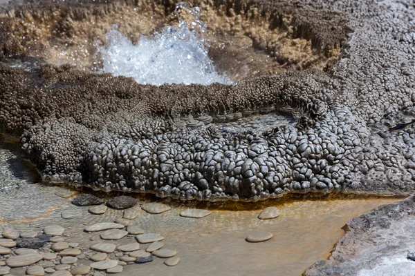 Bakterier Och Mineraler Från Det Termiska Vattnet Aurum Geyser Har — Stockfoto