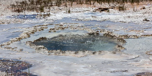 黄石公园里 一个被细菌形成和茂密的草丛包围着的冒着泡沫的地热水池 — 图库照片