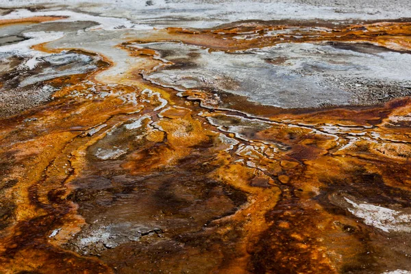 Bacteria and minerals in the hot water that runs out of Ear Springs makes a rust color pattern on the landscape at Yellowstone National Park.