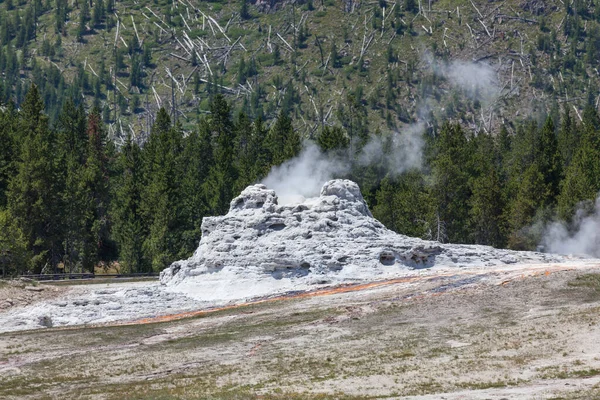 Stoom Van Binnenuit Kasteel Geyser Een Zonnige Zomerdag Yellowstone National — Stockfoto