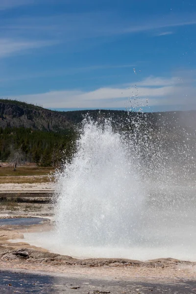 Een Actieve Geiser Schiet Heet Water Stoom Lucht Het Yellowstone — Stockfoto