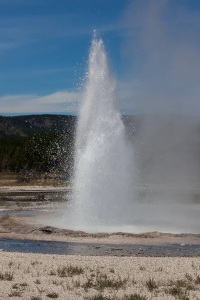 Active Geyser Shoots Hot Water Steam Air Yellowstone National Park — Stock Photo, Image