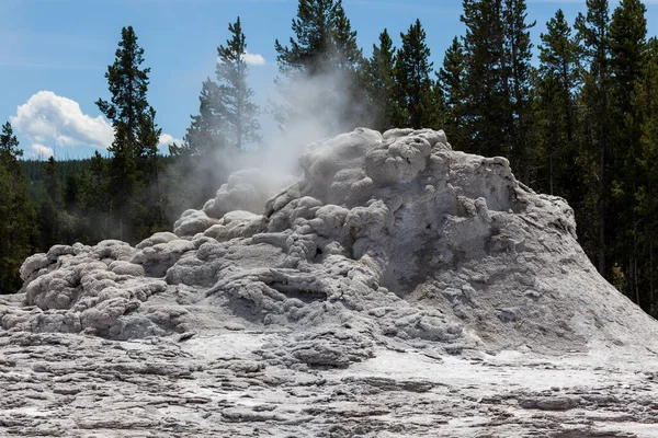 怀俄明州黄石公园地热地层中升起的蒸汽被称为 城堡间歇泉 — 图库照片