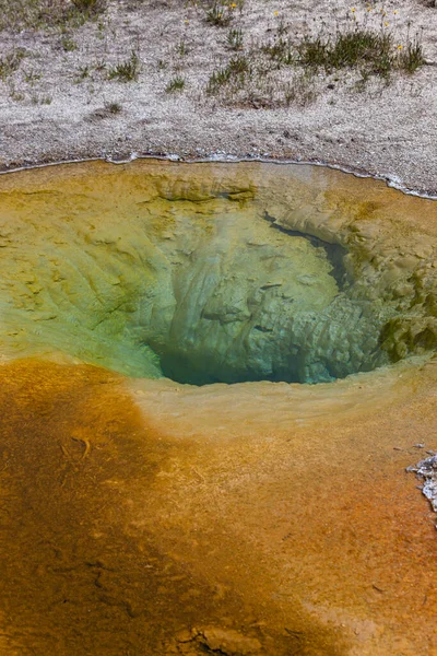 Geothermal bacteria in the hot waters of Belgian Pool create green, yellow, and orange colors beneath the waters surface at Yellowstone National Park.