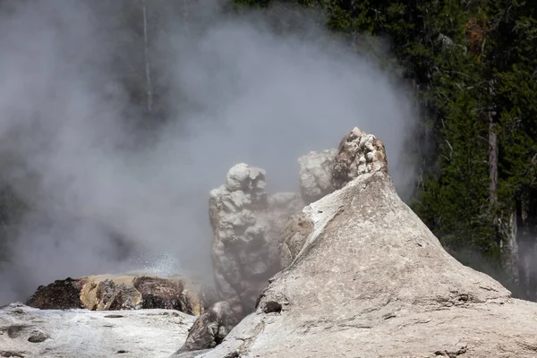 Giant Geyser Bijou Geyser Both Releasing Steam Green Tree Background — Stock Photo, Image