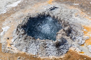Yellowstone Ulusal Parkı 'nda bir bakteri ve mineral büyüme çemberiyle çevrili mavi bir su havuzu..