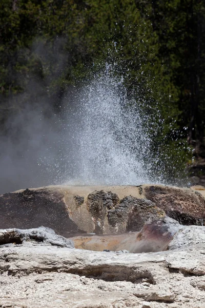 Chorro Agua Caliente Vapor Liberando Bijou Geyser Soleado Día Verano — Foto de Stock