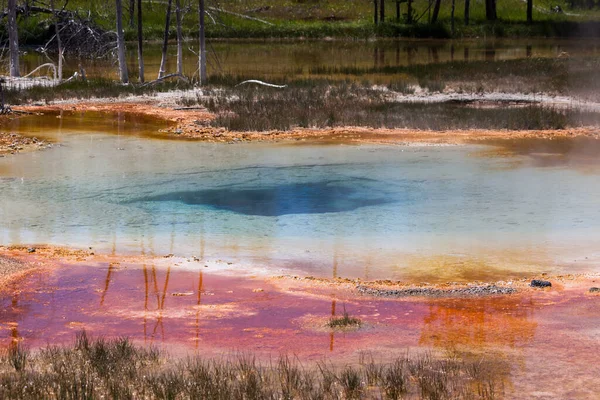Las Bacterias Geotérmicas Las Aguas Azules Calientes Culvert Geyser Crean — Foto de Stock