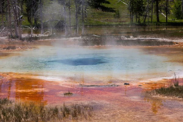 Geothermal bacteria in the hot blue waters of Culvert Geyser create red, yellow, and orange colors beneath the waters surface at Yellowstone National Park.