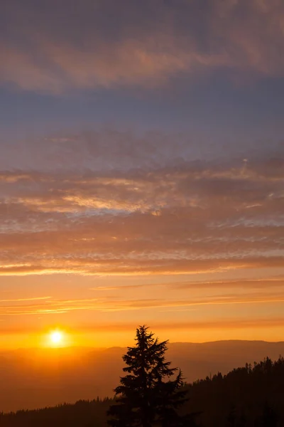 Dikke Lagen Rook Van Een Nabijgelegen Bosbrand Maken Zonnestralen Een — Stockfoto