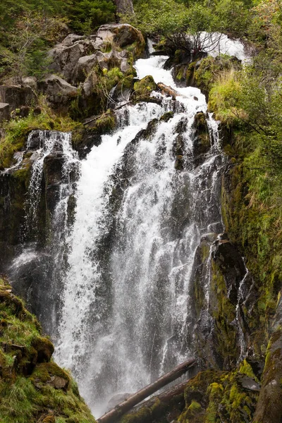 Det Vackra Och Vilda Vattnet National Creek Falls Rusar Över — Stockfoto