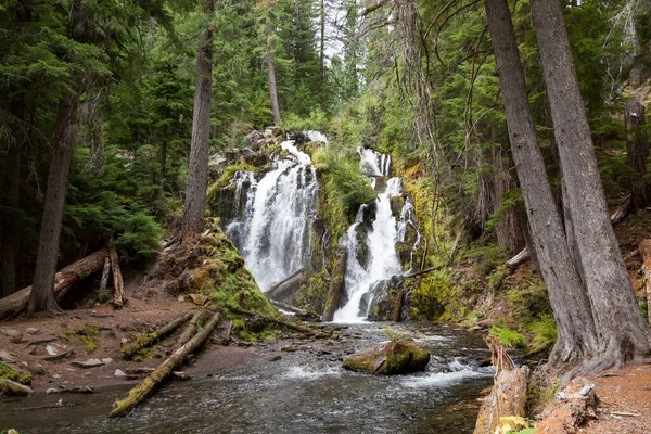 在俄勒冈州南部喀斯喀特山脉原始森林的岩石悬崖上奔腾而过的国家溪流瀑布的美丽而狂野的水 — 图库照片