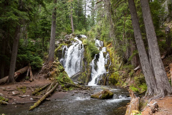 Det Vackra Och Vilda Vattnet National Creek Falls Rusar Över — Stockfoto