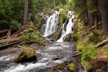National Creek Şelaleleri 'nin güzel ve vahşi suları Güney Oregon Şelaleleri' nin el değmemiş ormanlarındaki kayalık bir uçurumun üzerinden akıyor..
