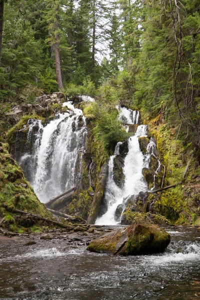 Beautiful Wild Water National Creek Falls Rushes Rocky Cliff Pristine — Stock Photo, Image