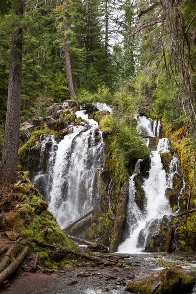 Det Smukke Vilde Vand National Creek Falls Det Styrter Klippe - Stock-foto