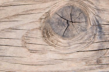 grunge ahşap dokusu arkaplanı.